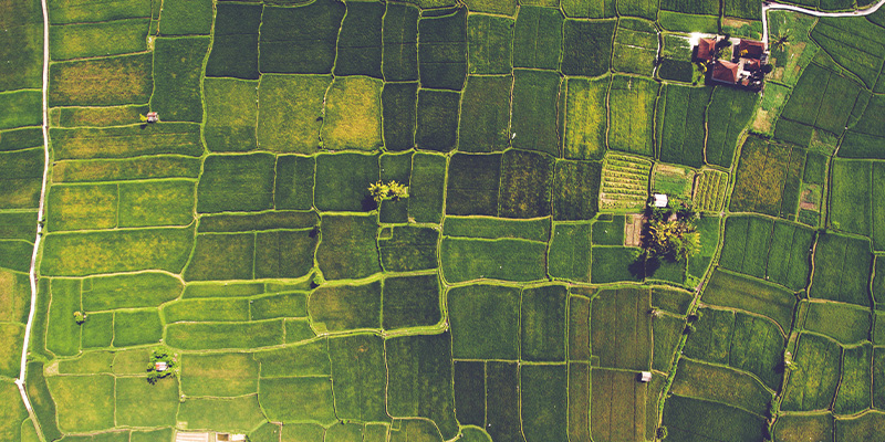 全域土地綜合整治